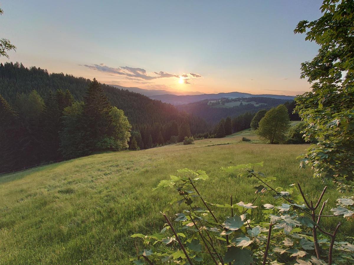 Forsthaus Pracken Villa Wolfsberg Luaran gambar